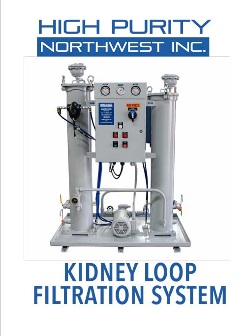 kidney loop filtration system